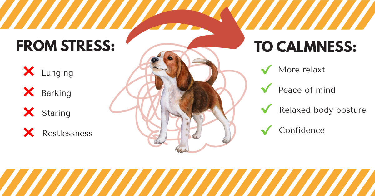 from stress to clamness - calm down framework from stress to clamness - calm down framework